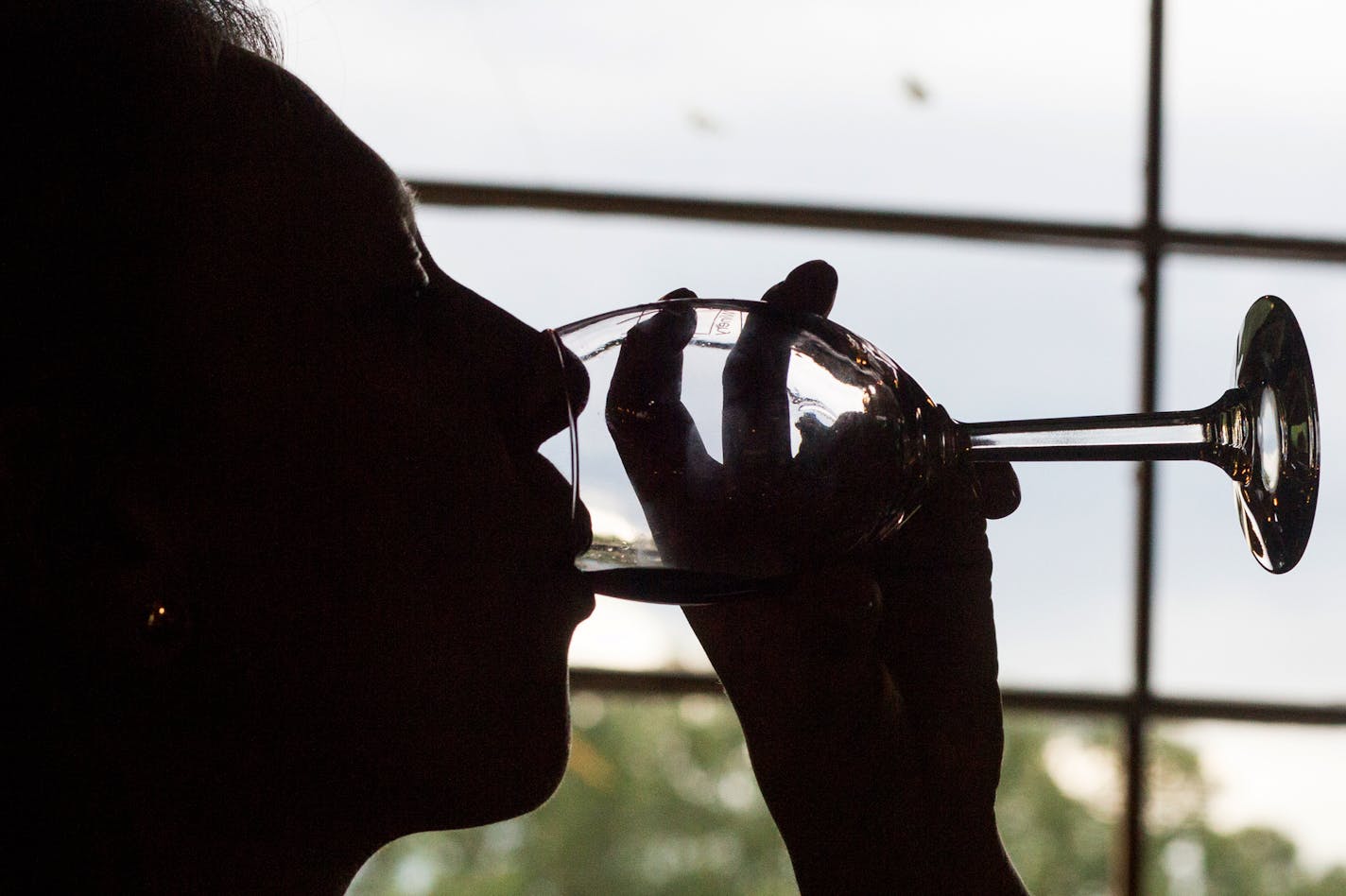 Melissa Woodward sips the 2016 Barn Quilt Red during a tasting at Parley Lake Winery. ] COURTNEY PEDROZA &#x2022; courtney.pedroza@startribune.com June 30, 2017. Parley Lake Winery; Waconia; MN winery