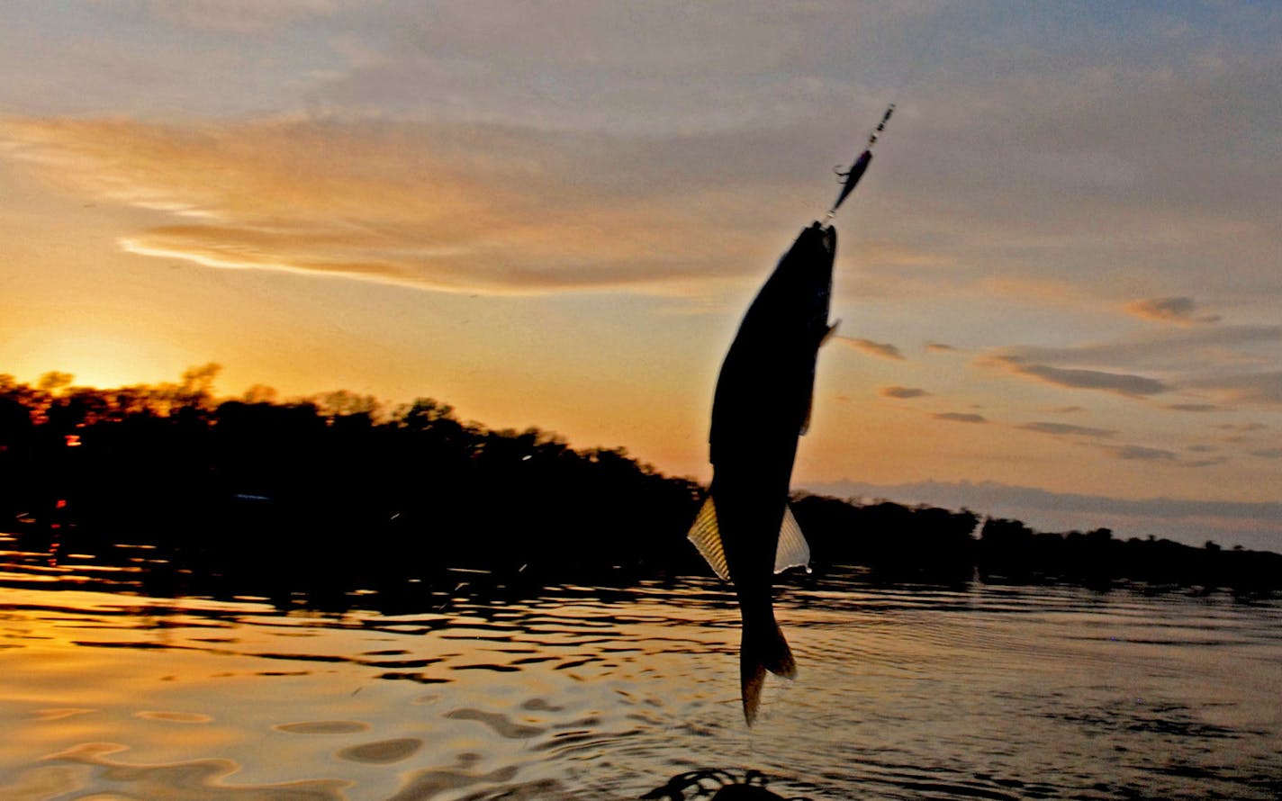 On Lake Mille Lacs in 2014.