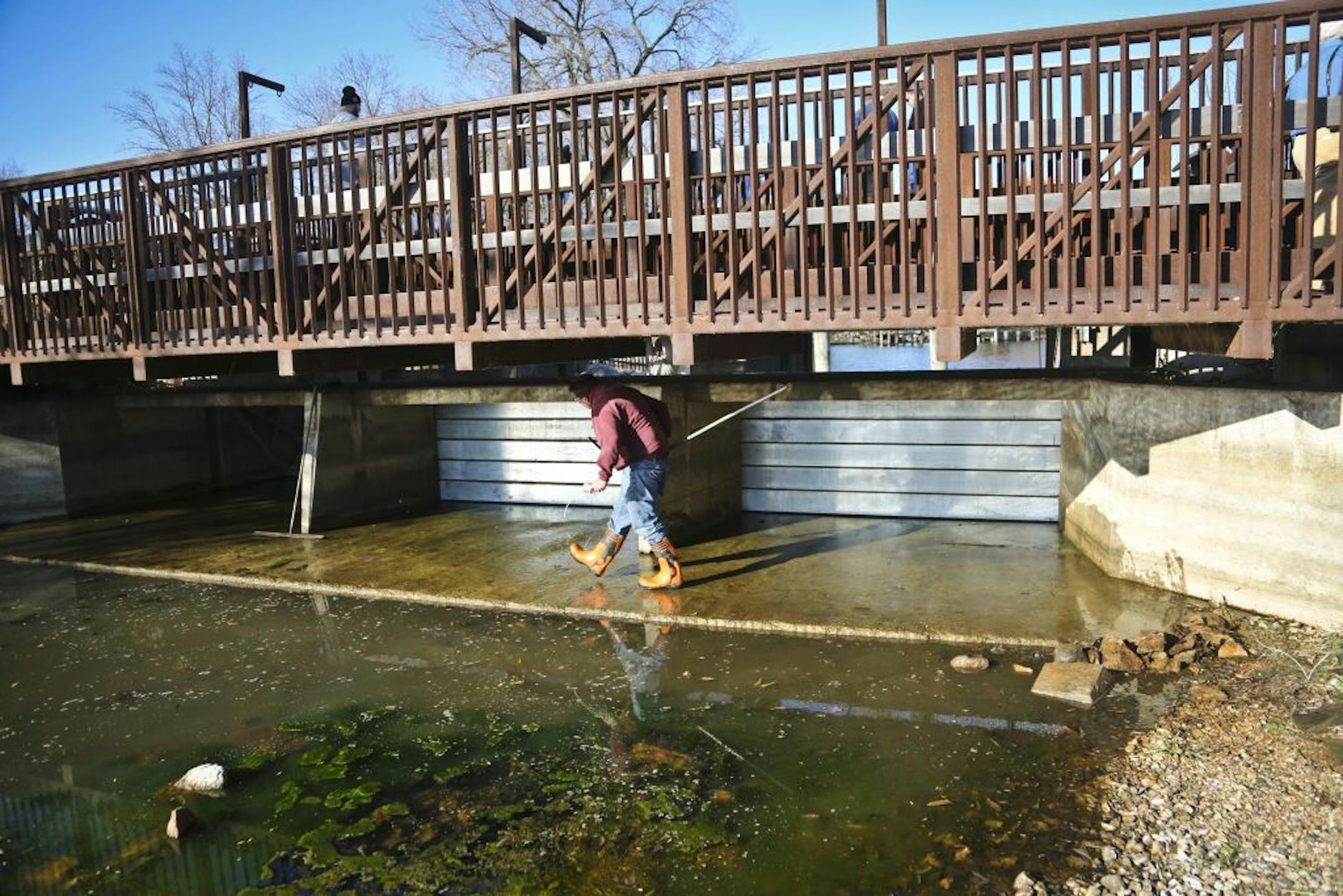 Chris Anderson walked under the bridge this week as his crew winterized the Grays Bay dam by installing stop logs to form a temporary dam to protect the actual dam's gates from winter ice damage at Lake Minnetonka's east end.