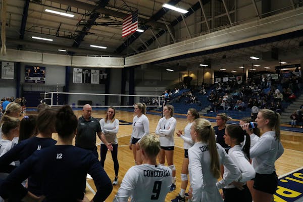 Concordia (St. Paul) volleyball coach Brady Starkey has his team back in the NCAA Division II quarterfinals.