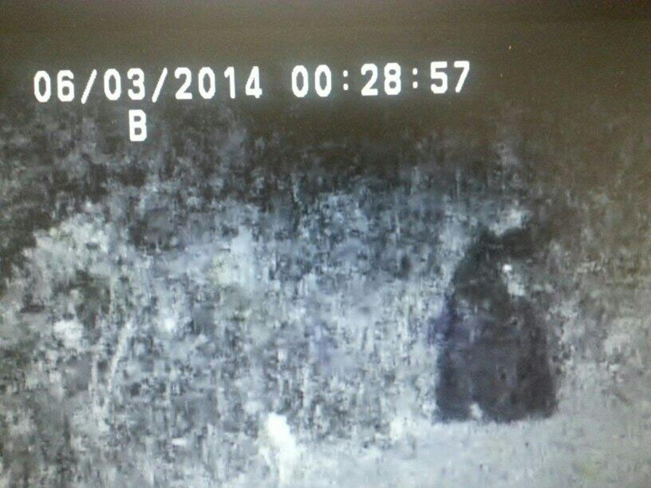 An Eagan police officer's squad car dash cam captured this grainy image of a black bear early Tuesday.