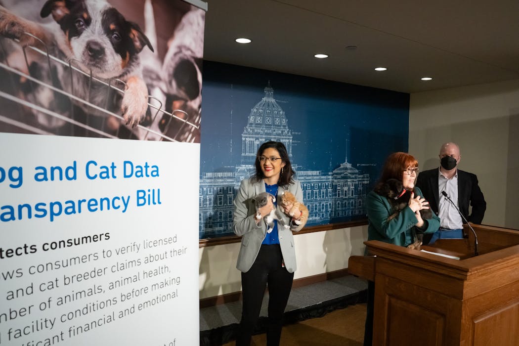Rep. María Isa Pérez-Varga, DFL-St. Paul, holds kittens Pinto and Lima as Rep. Mike Freiberg, DFL-Golden Valley, and Sen. Bonnie Westlin, DFL-Plymouth, introduce a bill that provides transparency for Minnesotans wanting to purchase a dog or cat from a breeder.