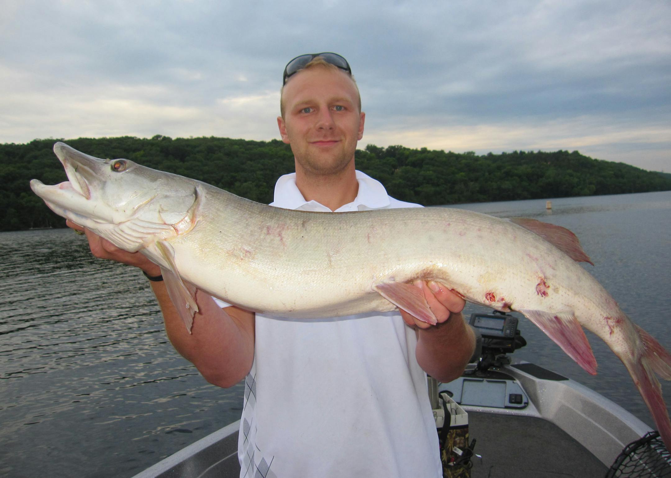Joe Mikalojczyk of Coon Rapids with a 46-inch “ghost” muskie caught in metro waters on July 15, 2013. “It was whiter than anything I’d ever seen,” he said.