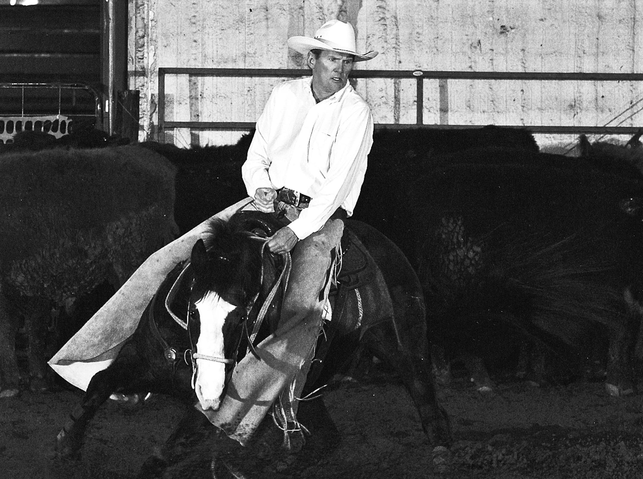 Author Dennis Anderson, shown here with his horse Lynx, has particular expertise on the subject of cutting-horse competitions. He plans to compete at the Minnesota State Fair next week. ORG XMIT: MIN2013082010320110