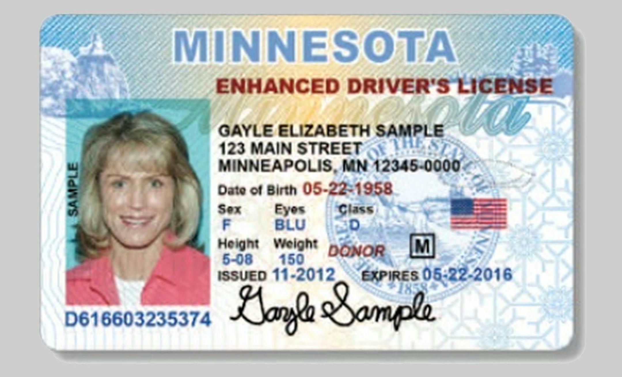 Minnesota sample identification card and drivers license. This is a sample provided by the Minnesota department of Public Safety ORG XMIT: MIN1509261615310292 ORG XMIT: MIN1605171306411468