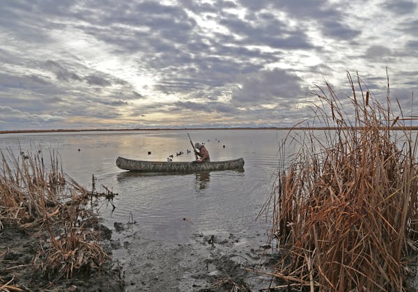 Moody late October days prevailed last week in southern Manitoba in advance of a big blow Thursday that saw daylong winds gust to 50 mph. But the hunt