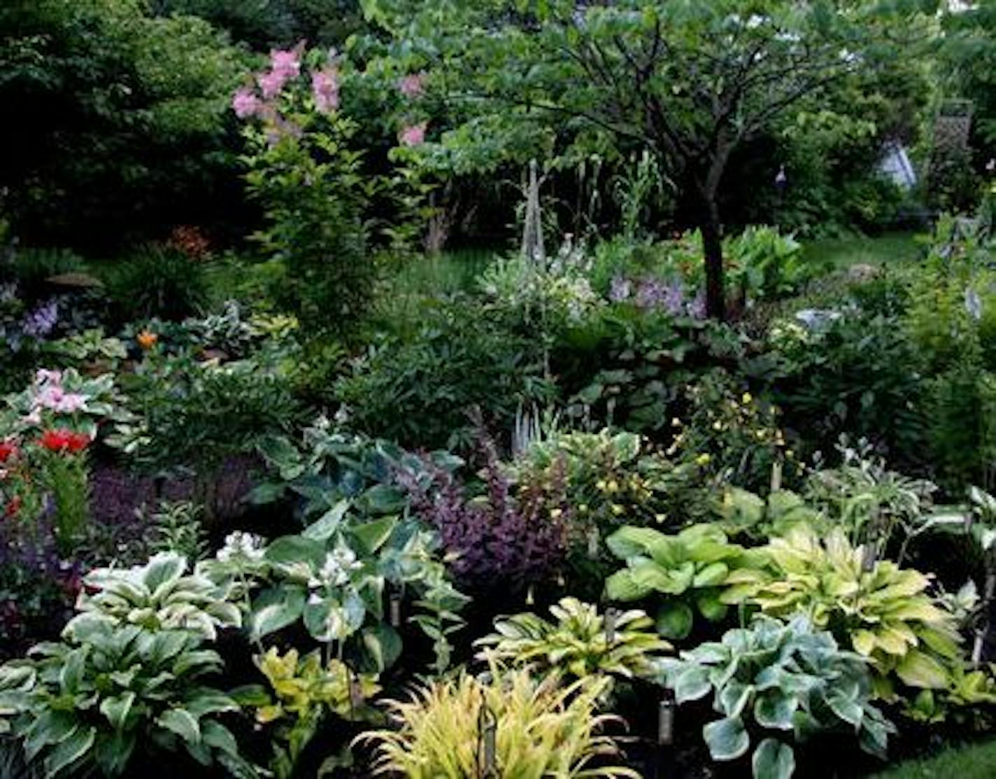 Mike and Kathy Pedersen's Shakopee gardens are an oasis of colorful perennials and hosta bordering a stream and pond. Provided