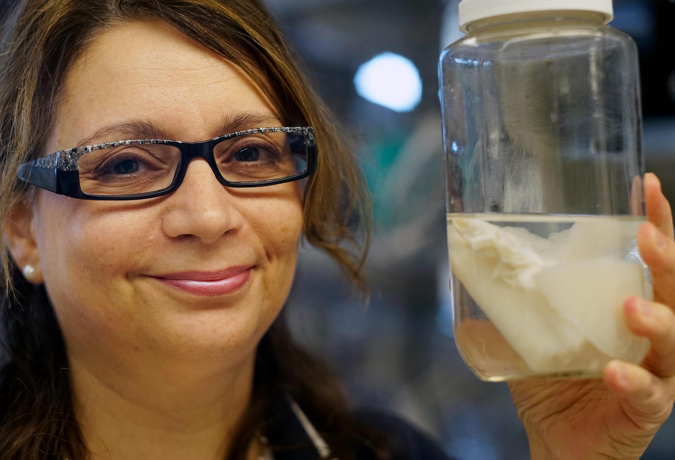 At the U of M, cardiology, Dr. Angela Mortari is using the school's first "bioprinter" to print with a 1/3 replica of a human nose with organic material. Here she is holding the a pig's lung that has been eviscerated of living cells which can serve as scaffolding for recreating a living lung.