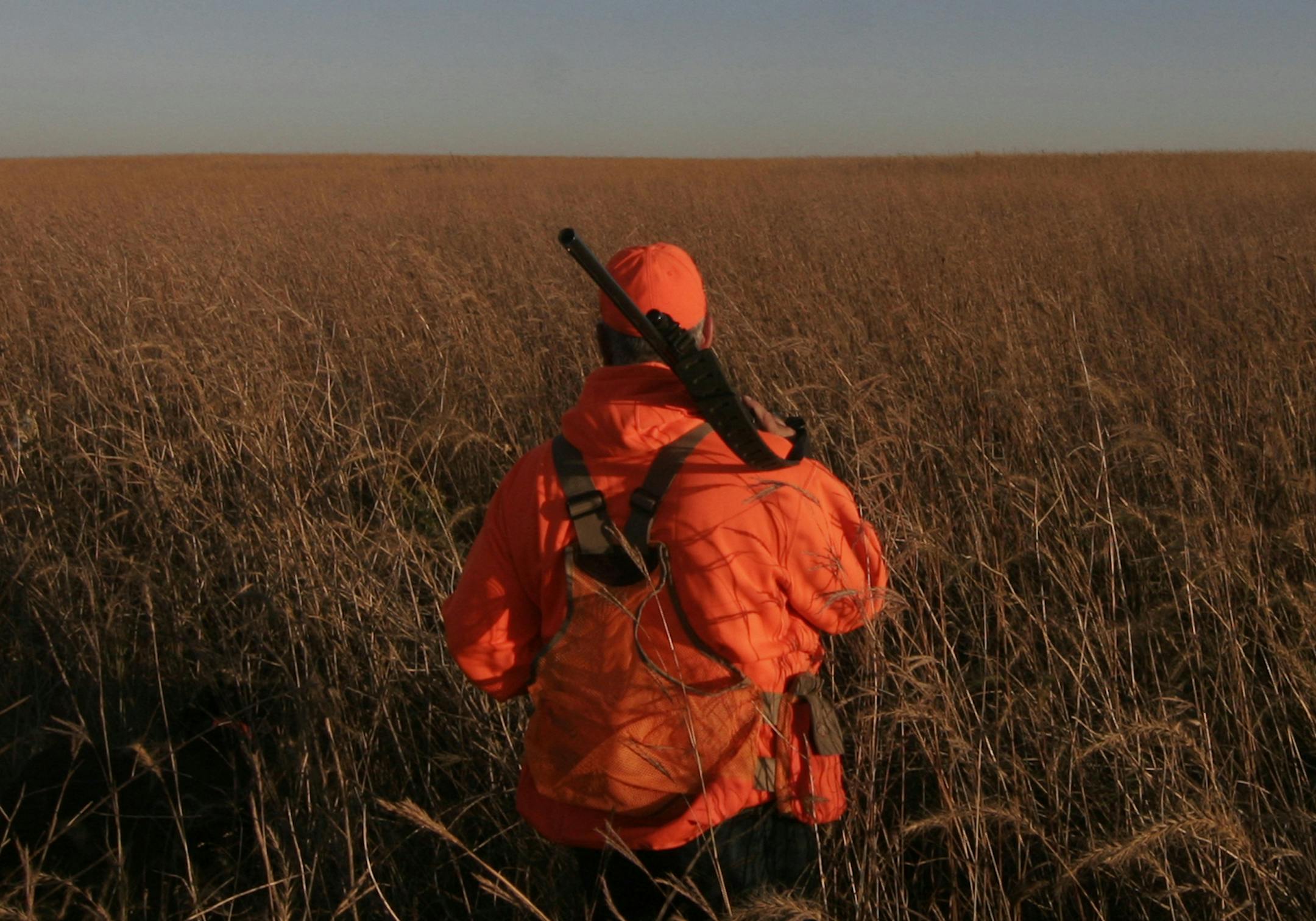 Grass is the No. 1 need for pheasants, and the goal of a new pheasant action plan is to provide more of it to boost the state’s pheasant population.