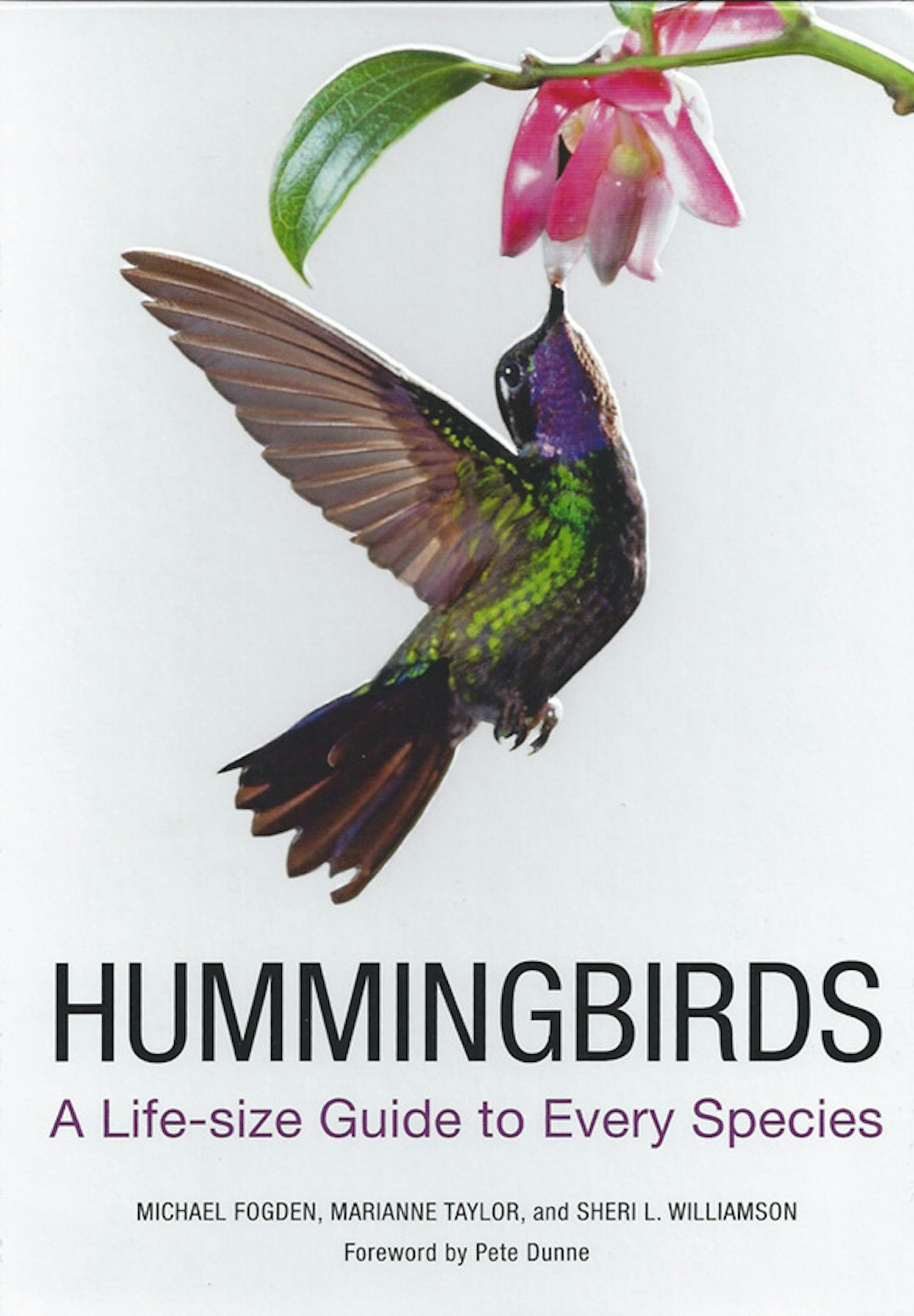 "Hummingbirds: A Life-size Guide to Every Speciies" by Michael Fogden, Marianne Taylor and Sheri Williamson