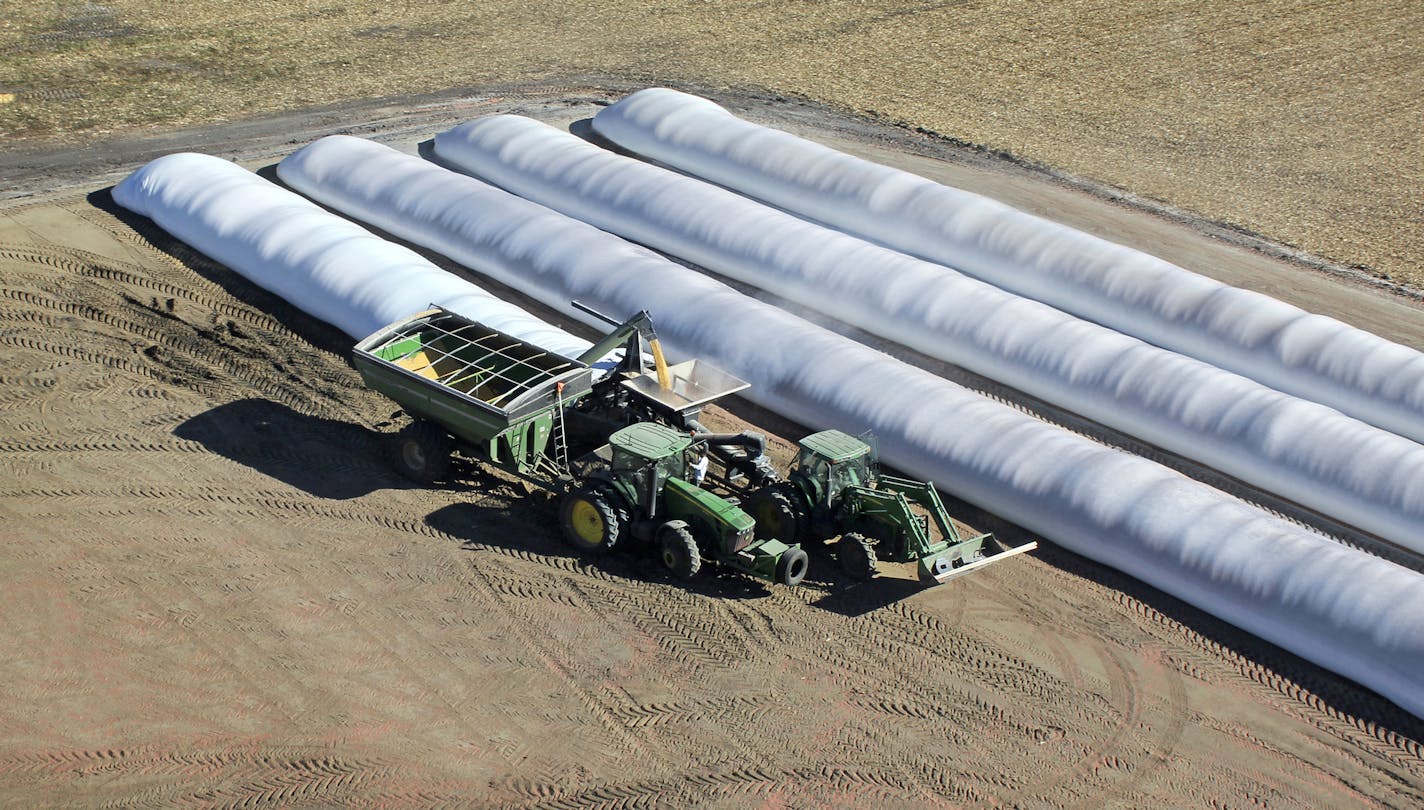 Photo of grain bagging, Willmar, MN . ] credit, Steve Nelson, Loftness Specialized Equipment