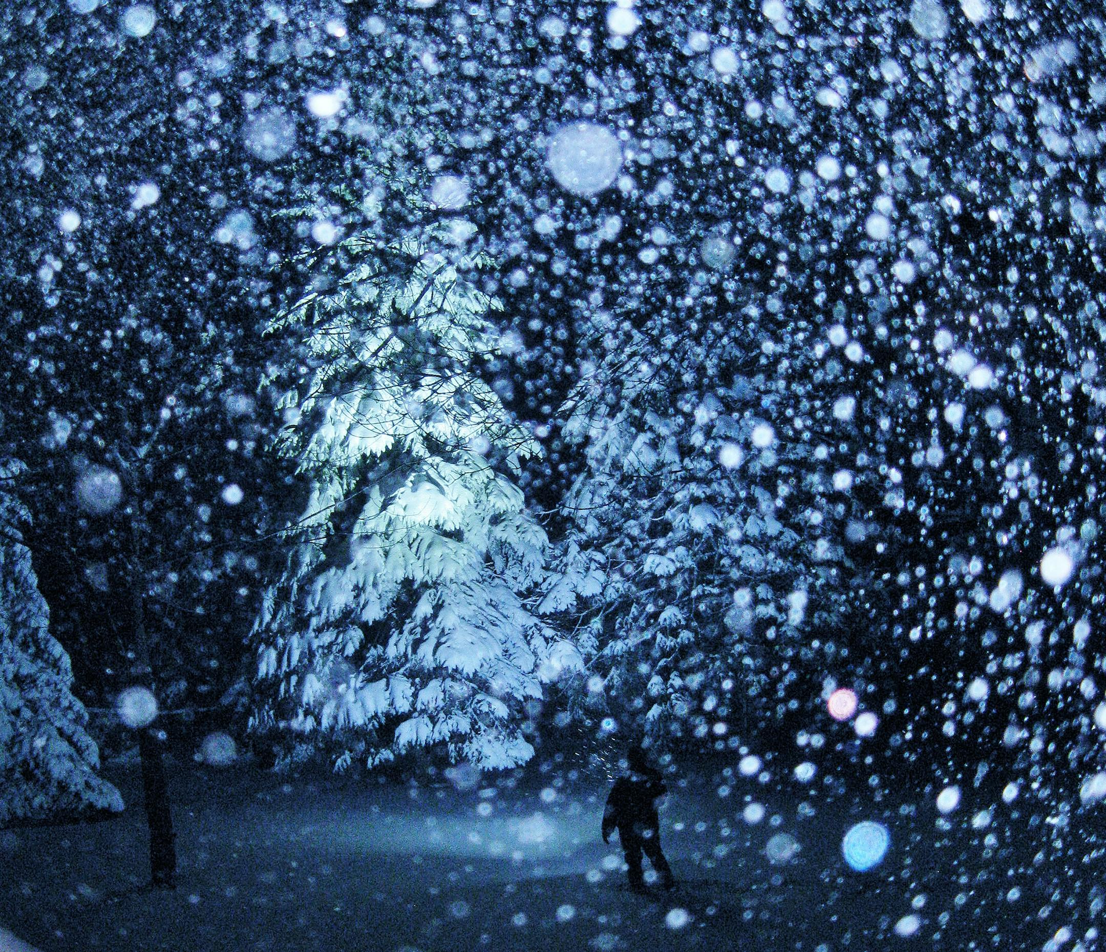Julie Torgerson and Kurt Nordwall of Eagan bought an extremely powerful "flashlight" to help keep an eye out for coyotes when their dog Barney is in the backyard. A couple of weeks ago, Julie says, "Kurt was out with the dog and I snapped some photos of the beautiful snow. I didn't think this one turned out until I put it on the computer. I think it's magical." Yes, yes it is. [focus020418