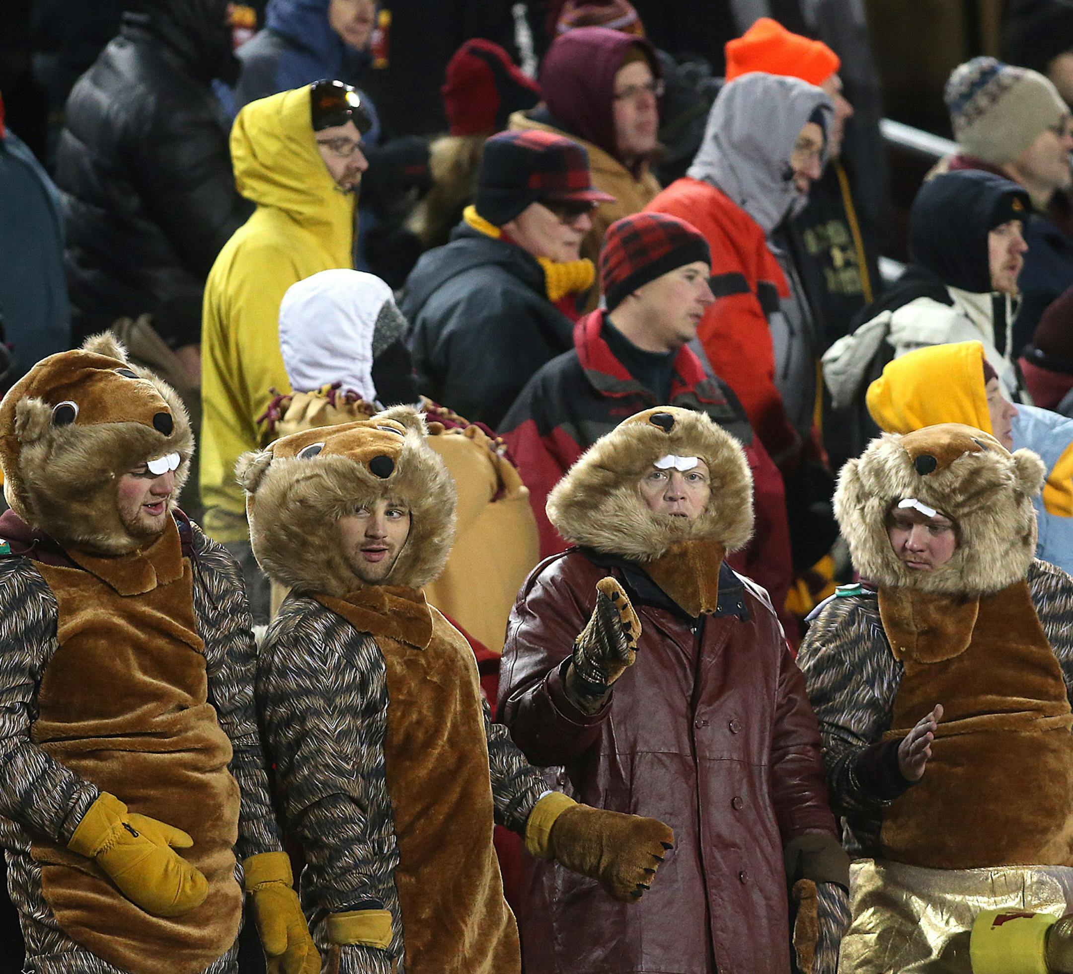 Fans dressed to fight the cold. Some even came dressed as gophers. ]JIM GEHRZ ‚Ä¢ jgehrz@startribune.com Minneapolis, MN / November 23, 2013, 2:30 PM BACKGROUND INFORMATION- The Minnesota Golden Gopher football team played the Wisconsin Badgers at TCF Bank Stadium. Wisconsin won the game 20-7.