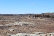 Rocky outcroppings at the Morton Outcrops Scientific and Natural Area in Morton, photographed in April.