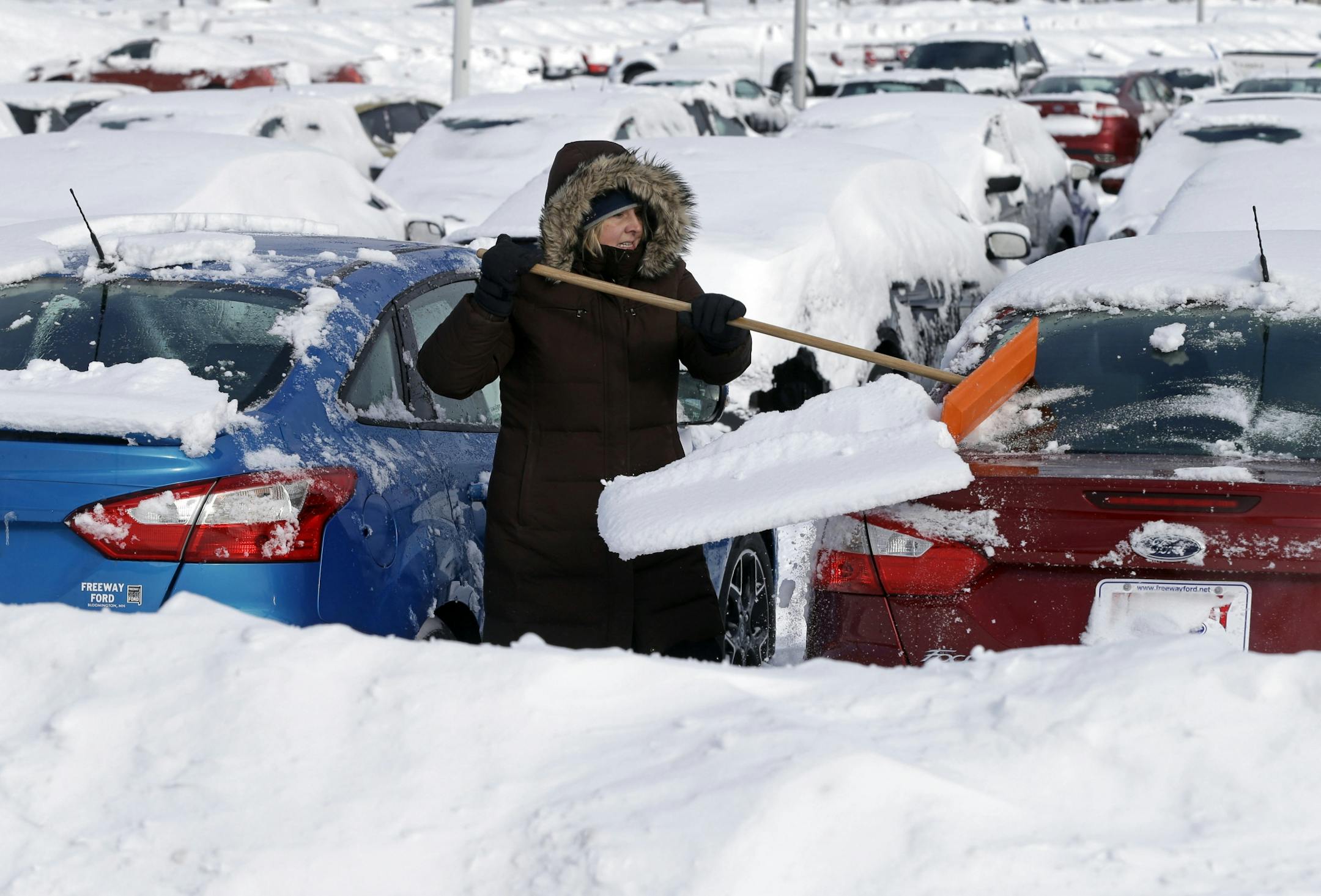 Freeway Ford sales consultant Debra Anderson lent a hand to clearing snow off new cars Friday, Feb. 21, 2014 in Bloomington, Minn. following a snow storm that dumped heavy, wet snow over eastern Minnesota and western Wisconsin, closing many schools including those in Bloomington and Minneapolis.