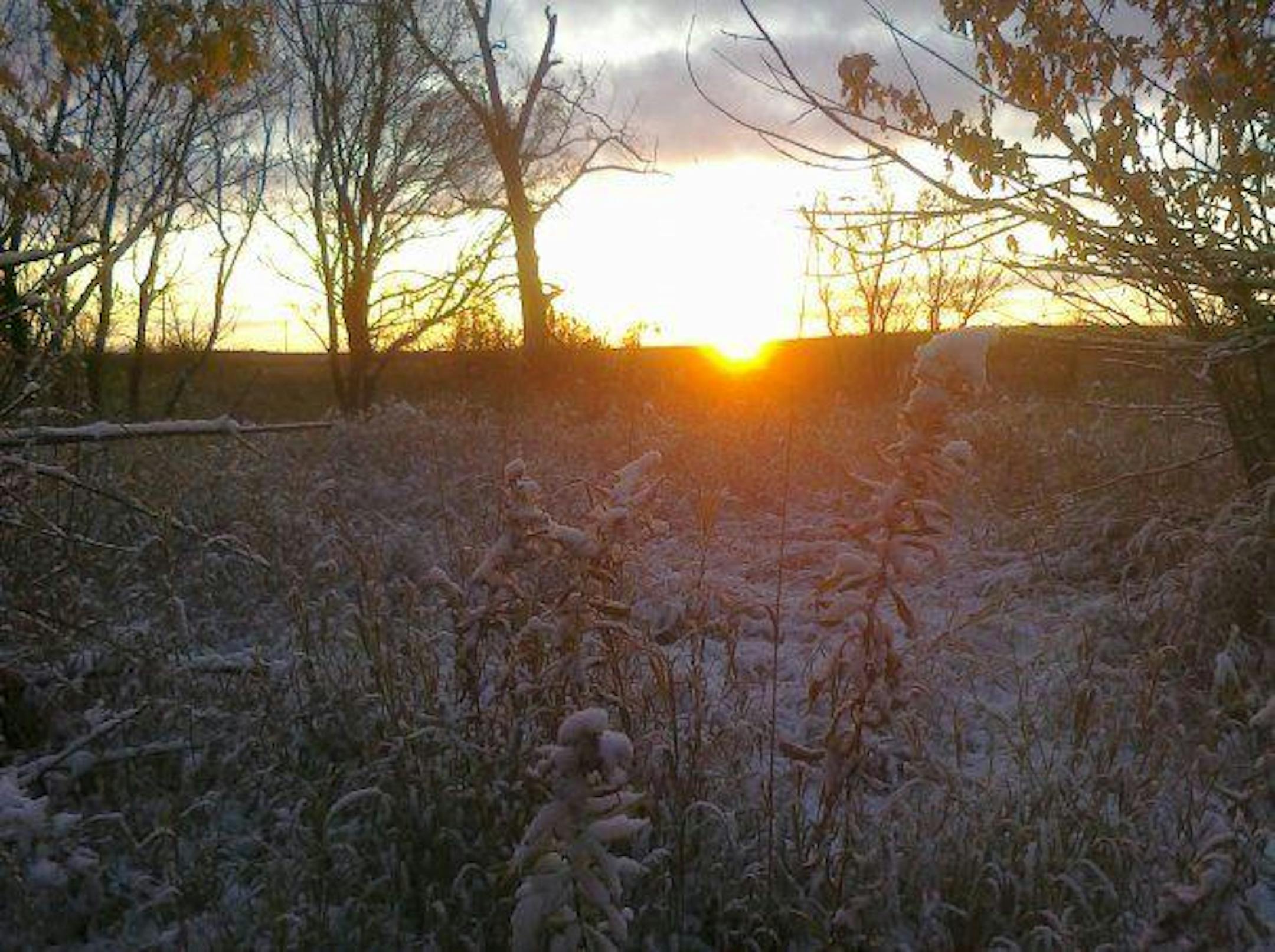 Sunrise on the 2009 Minnesota pheasant season - photo snapped by fellow pheasant camper John Kuyper