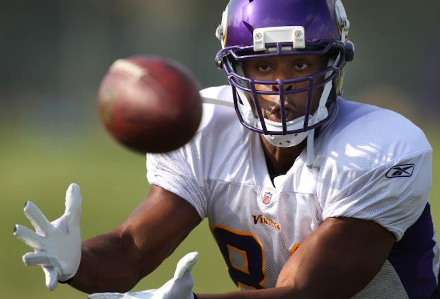 Vikings tight end Visanthe Shiancoe