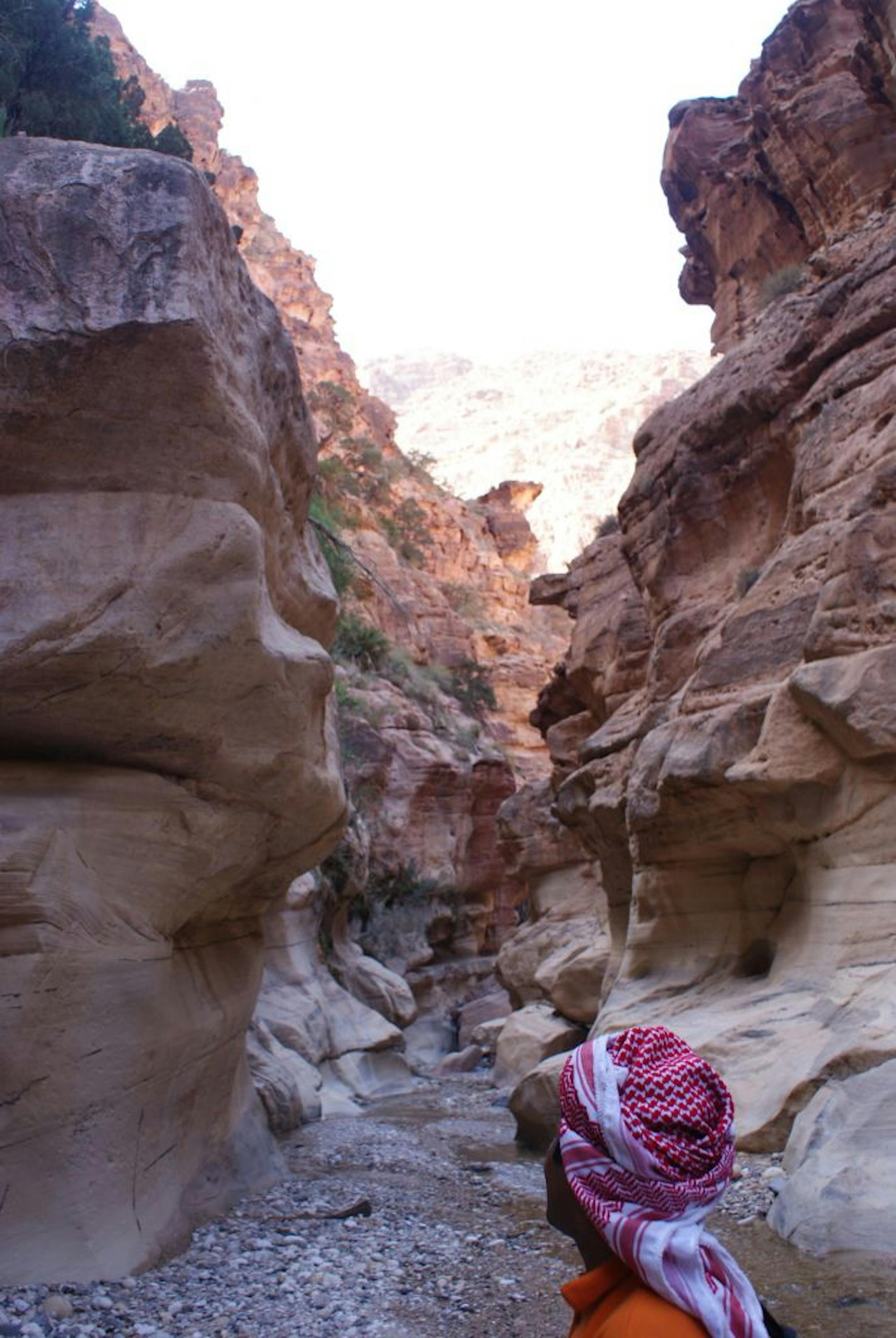 The slot canyon of Wadi Ghwayr provides a natural highlight for visitors to the Dana Biosphere Reserve in Jordan.