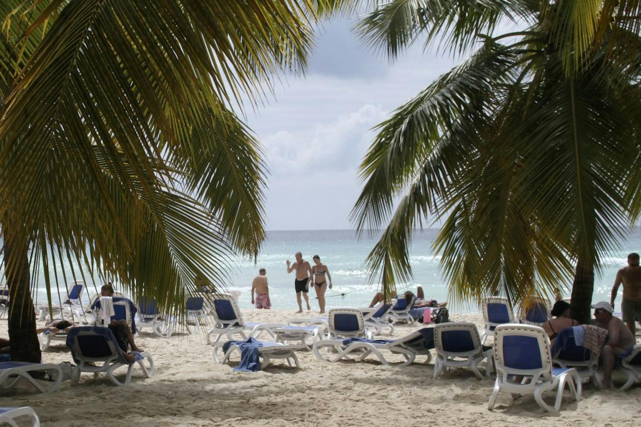 A palm-lined beach at the Viva Wyndham Dominicus Beach resort in Bayahibe, Dominican Republic, Oct. 26, 2012. For four days and three nights with airfare included via CheapCaribbean.com, travelers can stay at the resort for less than $600. (Seth Kugel/The New York Times) -- PHOTO MOVED IN ADVANCE AND NOT FOR USE - ONLINE OR IN PRINT - BEFORE NOV. 11, 2012. --