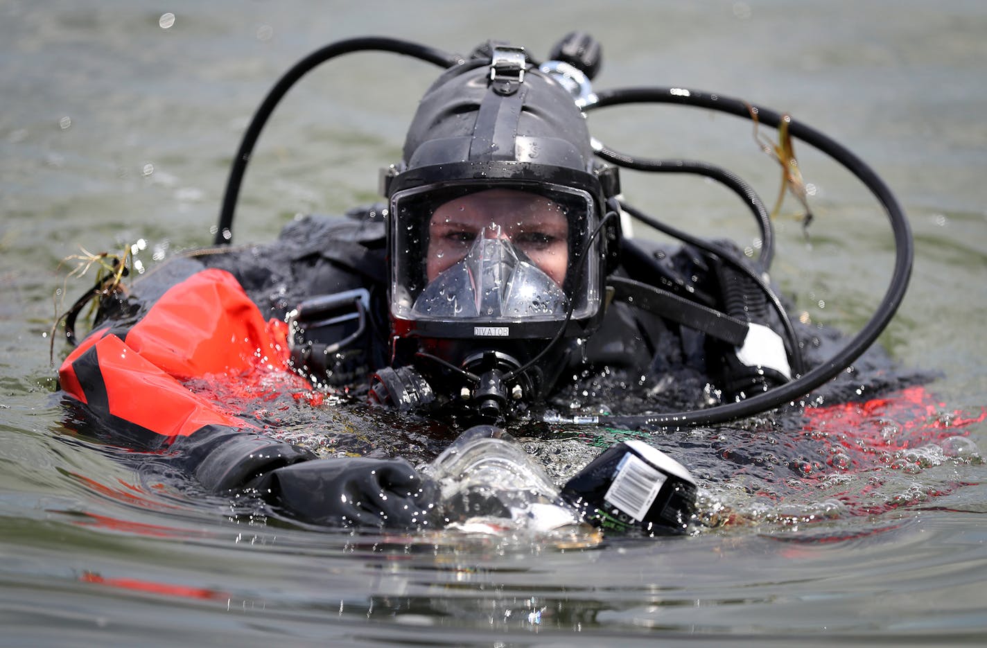 Hennepin County Sheriff's Office diver Carrie Cennami collects trash in Lake Minnetonka. ] (Leila Navidi/Star Tribune) leila.navidi@startribune.com BACKGROUND INFORMATION: Clean up near Big Island on Lake Minnetonka on July 5, 2016. Volunteers are increasing clean-up efforts on Lake Minnetonka after the rowdy July 4th holiday weekend results in boatloads of trash. On Tuesday, Hennepin County Sheriff's Office divers will join the effort for the first time, diving for broken beer bottles, shoes, u