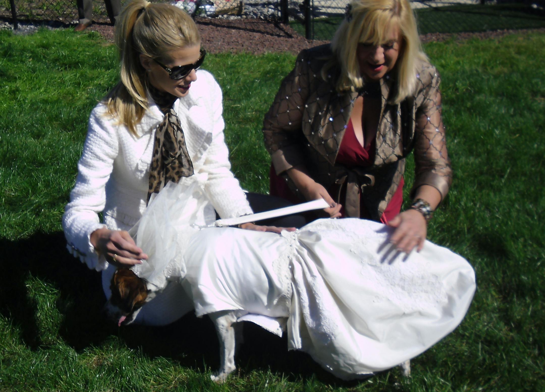 Doylestown, PA: Beth and Lori prepare the dog bride, Fiona, for her big wedding day in Doylestown, PA. (photo credit: © NGC / Daniel Gibson)