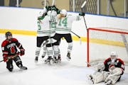 Teammates celebrate with Hill-Murray forward Chloe Boreen (hidden) after scoring a goal against Stillwater in the first period of the Class 2A, Sectio