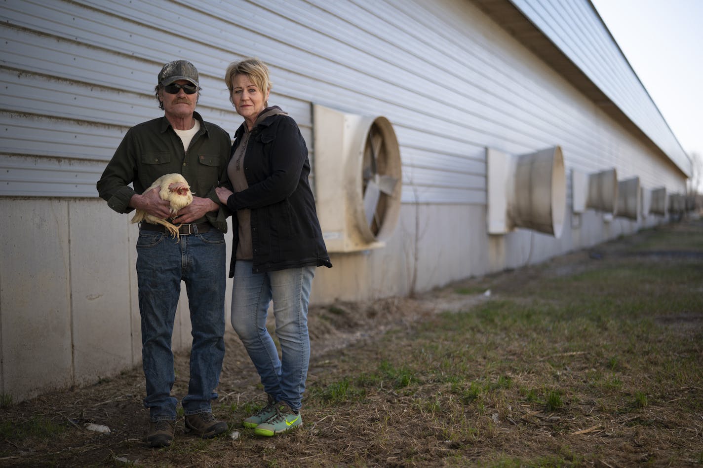 Kerry and Barb Mergen outside their now empty chicken house with a straggler who managed to elude the crew that came in on April 9 to euthanize the other 61,000 laying hens in their flock.