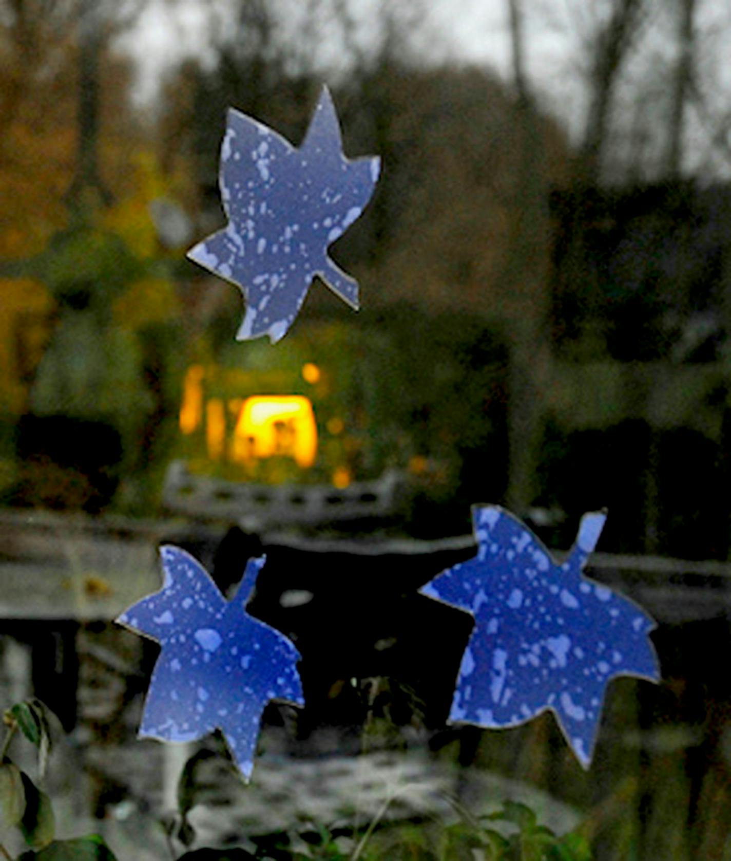 Three blue decals shaped like maple leaves are affixed to a picture window.