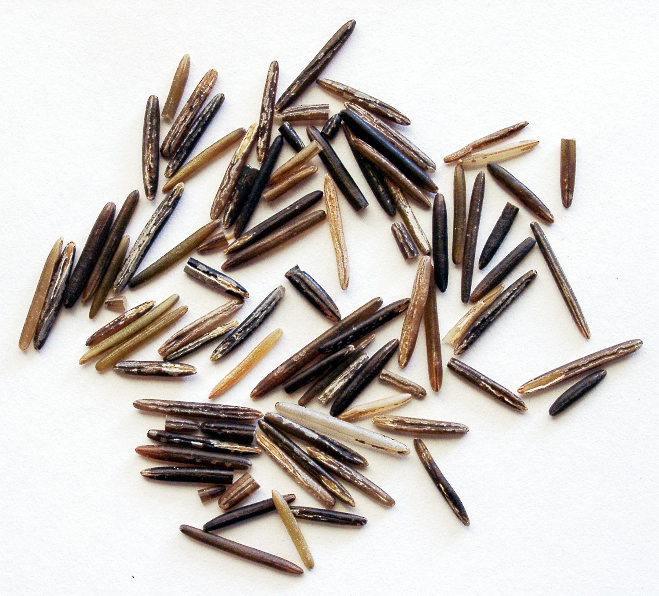 Wild rice -- this is lake-grown rice sold by the White Earth Band of Chippewa.