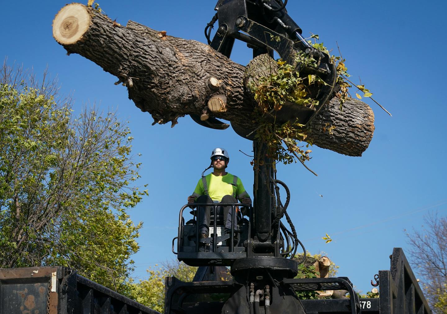 Nate Struck operated the "clam" to pick up the logs and branches from the street after a St. Paul forestry crew cut down a tree on View Street. ] Shari L. Gross • shari.gross@startribune.com St. Paul has stopped regular tree trimming. Woodbury has fallen behind on maintaining newly-planted trees. And tiny Clearwater, Minnesota (pop. 1,700) is looking to local Boy Scouts to help create the town's first-ever tree inventory. A decade after Emerald Ash Borer arrived in Minnesota, communities across