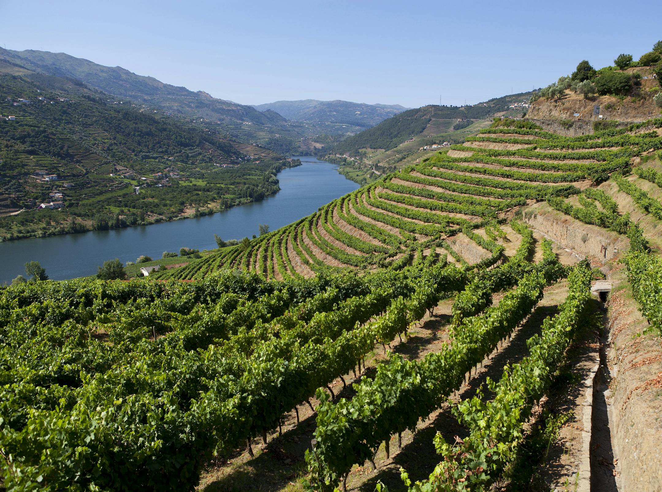 Ladscape in Douro Valley- Credit istock