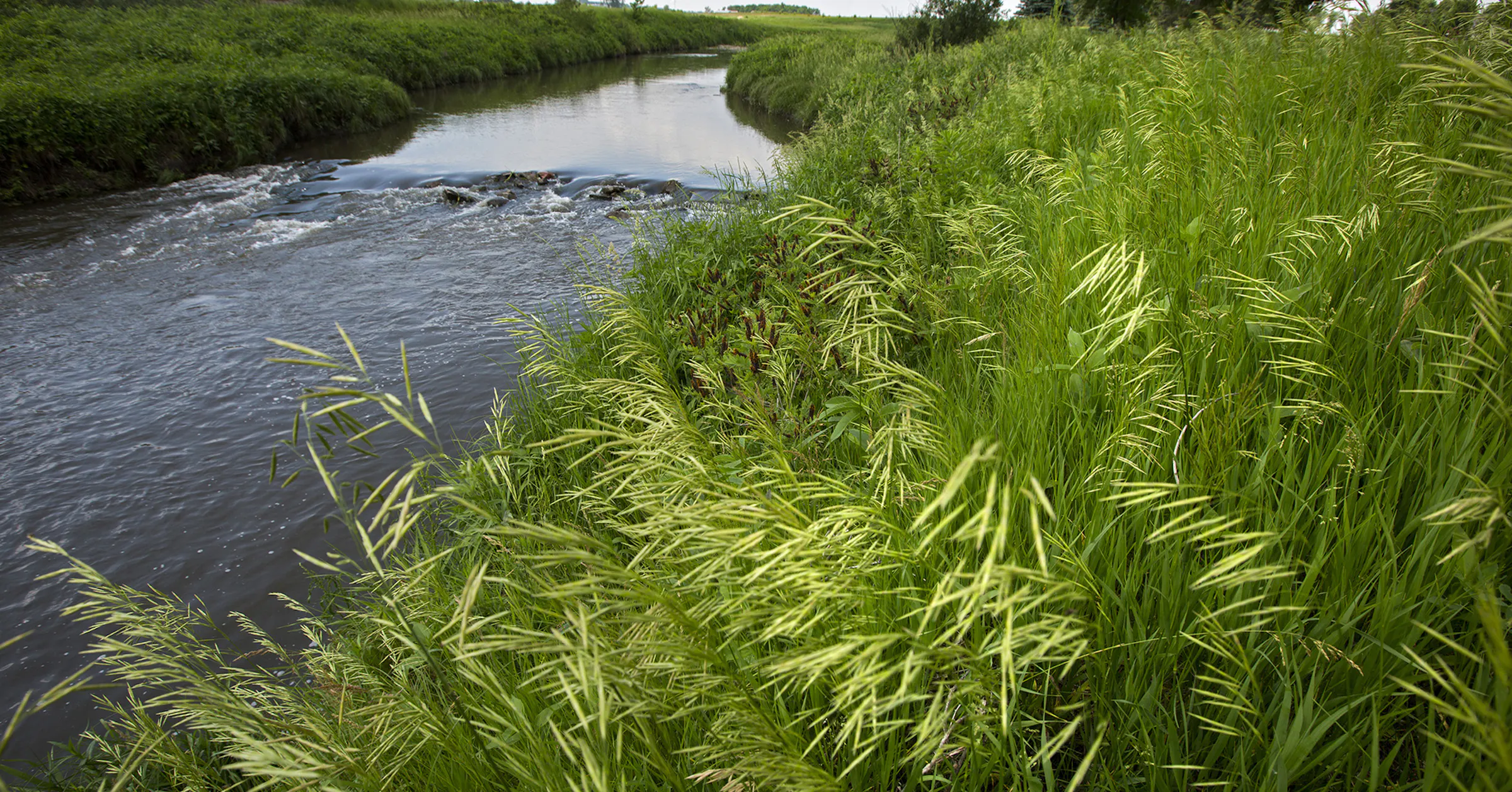 Fight over nitrates heats up after Minnesota ag officials defend ...