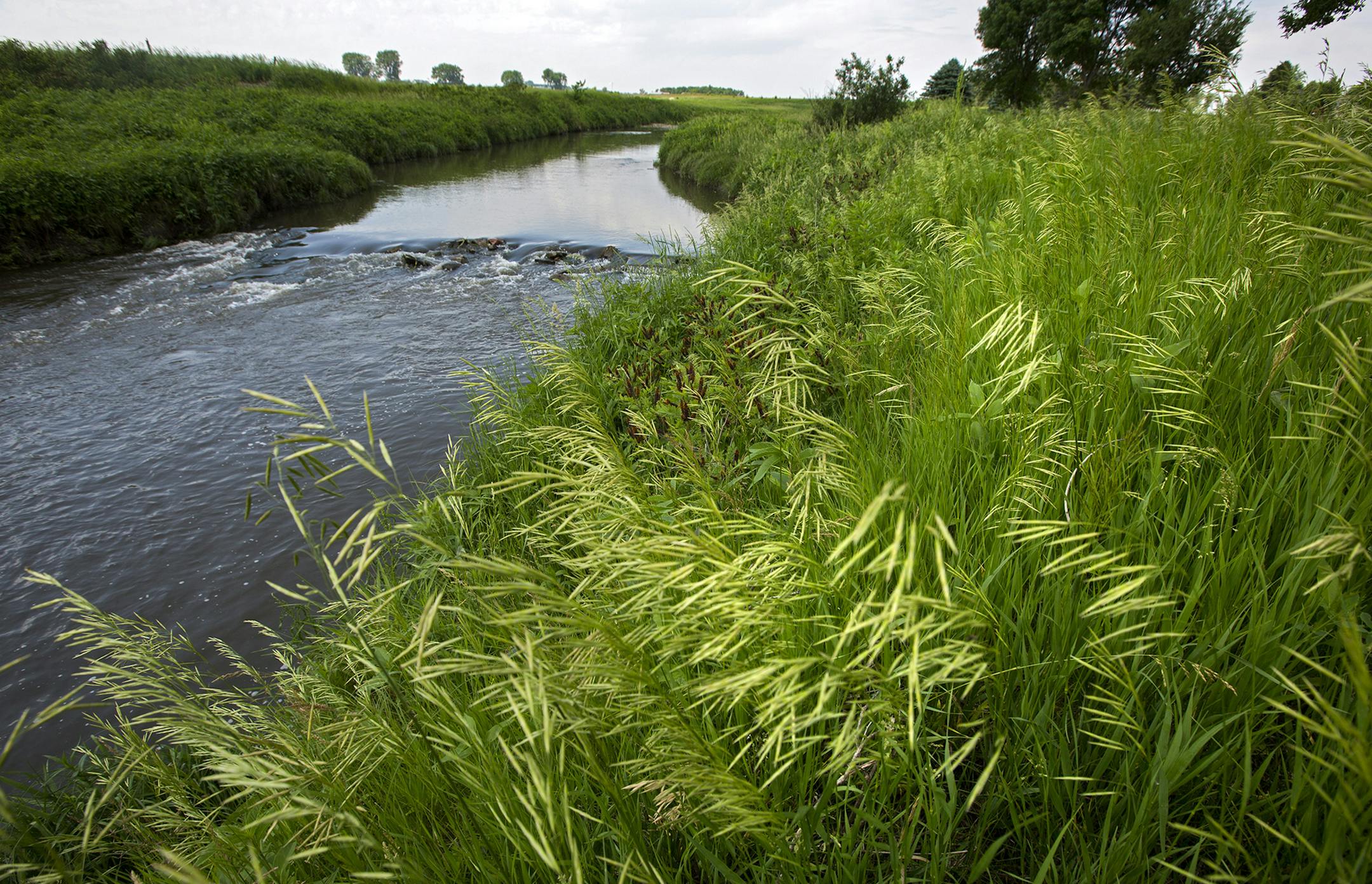 A buffer strip of grass and trees along the Rock River west of Edgerton is a good example of the protective strips that help filter runoff. ] In the small town of Edgerton where a shallow aquifer readily absorbs leaching farm chemicals, residents pay extra every month for special treatment to make their water safe to drink. The nitrate-removal system -- now woven into the infrastructure of this heavily Dutch settlement - reflects the dilemma that a number of communities are having across Minneso