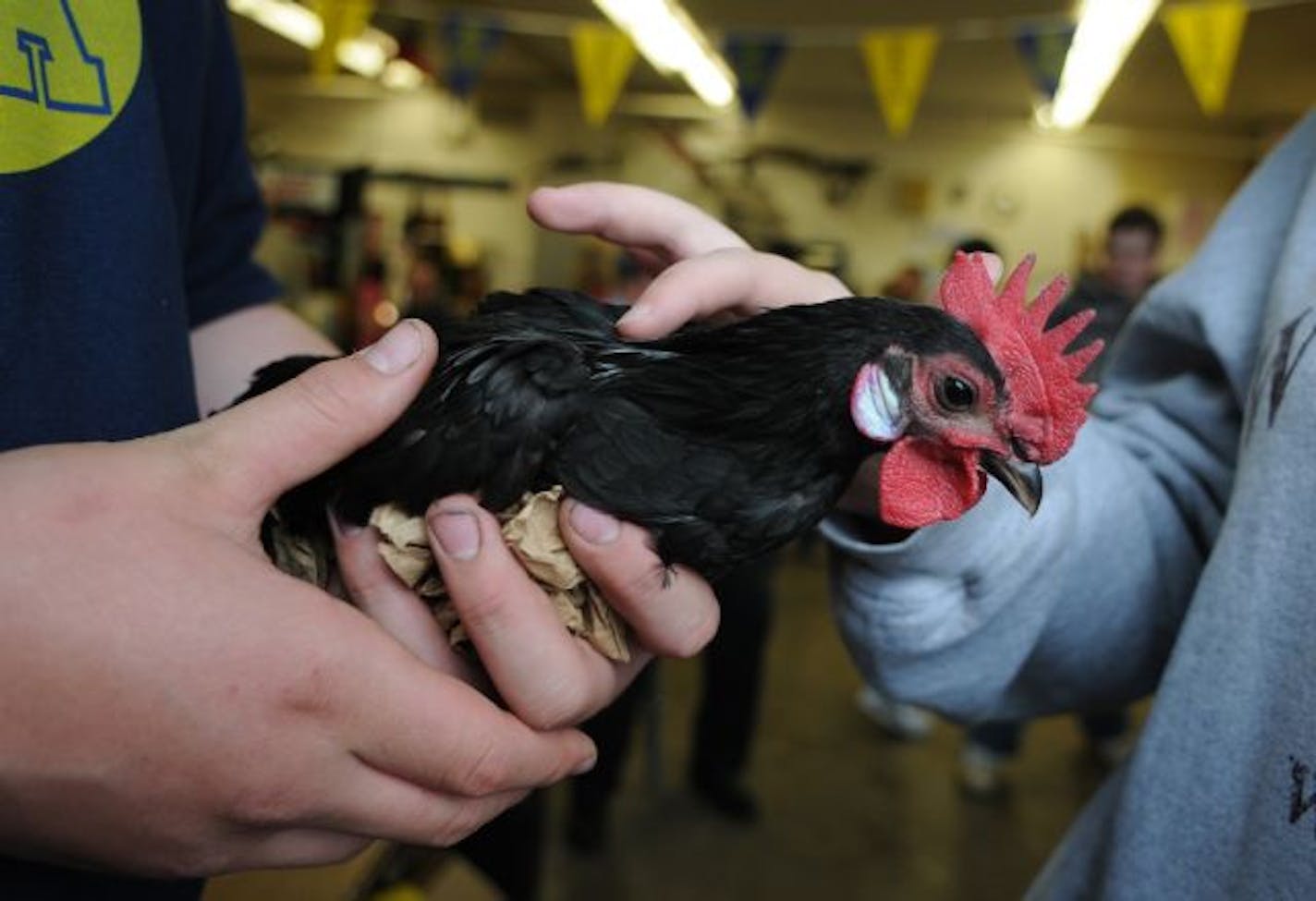 Agriculture open house at Forest Lake High School.