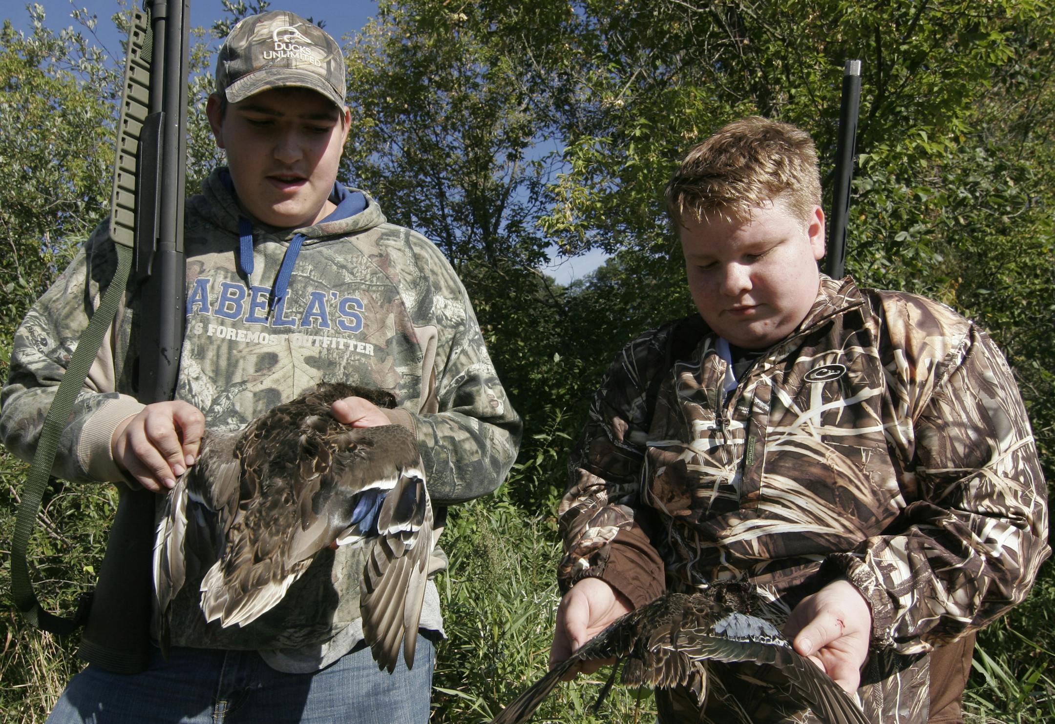 Brandon Honl, 15, (left) and his brother, Trevor, 14, of Colombia Heights, examine ducks they shot Saturday on Youth Waterfowl Day. Brandon bagged a mallard and Trevor shot a blue-winged teal, the only ducks taken by six youngsters who hunted with mentors at Sherburne National Wildlife Refuge near Zimmerman, Minn.