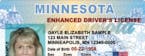 Minnesota sample identification card and drivers license. This is a sample provided by the Minnesota department of Public Safety ORG XMIT: MIN15092616