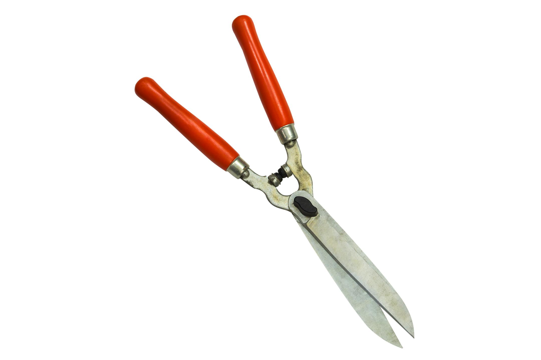 image of garden shears isolated on a white background