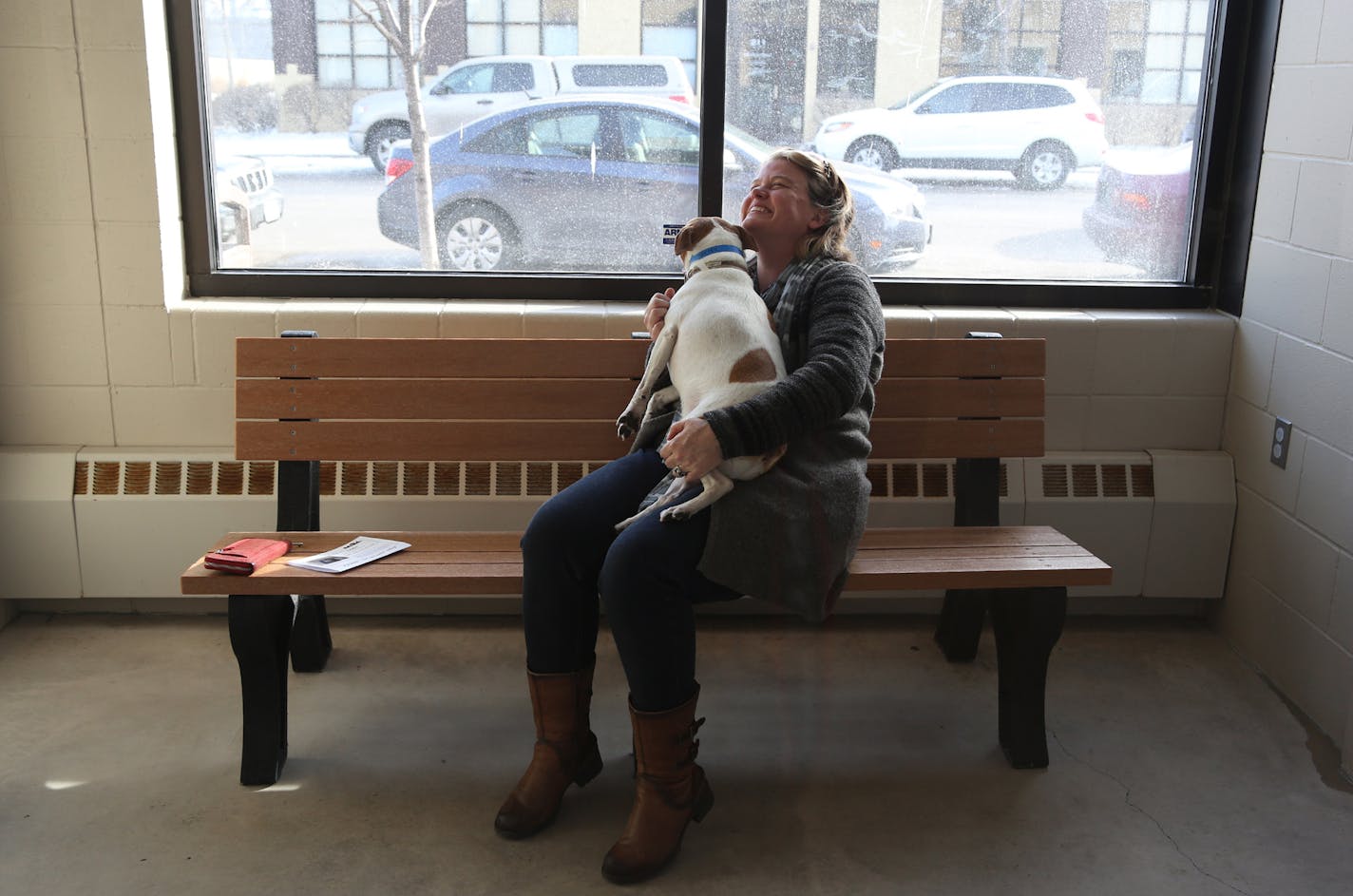 Kate Mudge, of St. Paul, played with five year-old Cody, a Jack Russell terrier, in the adoption room . ] (KYNDELL HARKNESS/STAR TRIBUNE) kyndell.harkness@startribune.com l in Minneapolis Min., Friday, March 6, 2015.