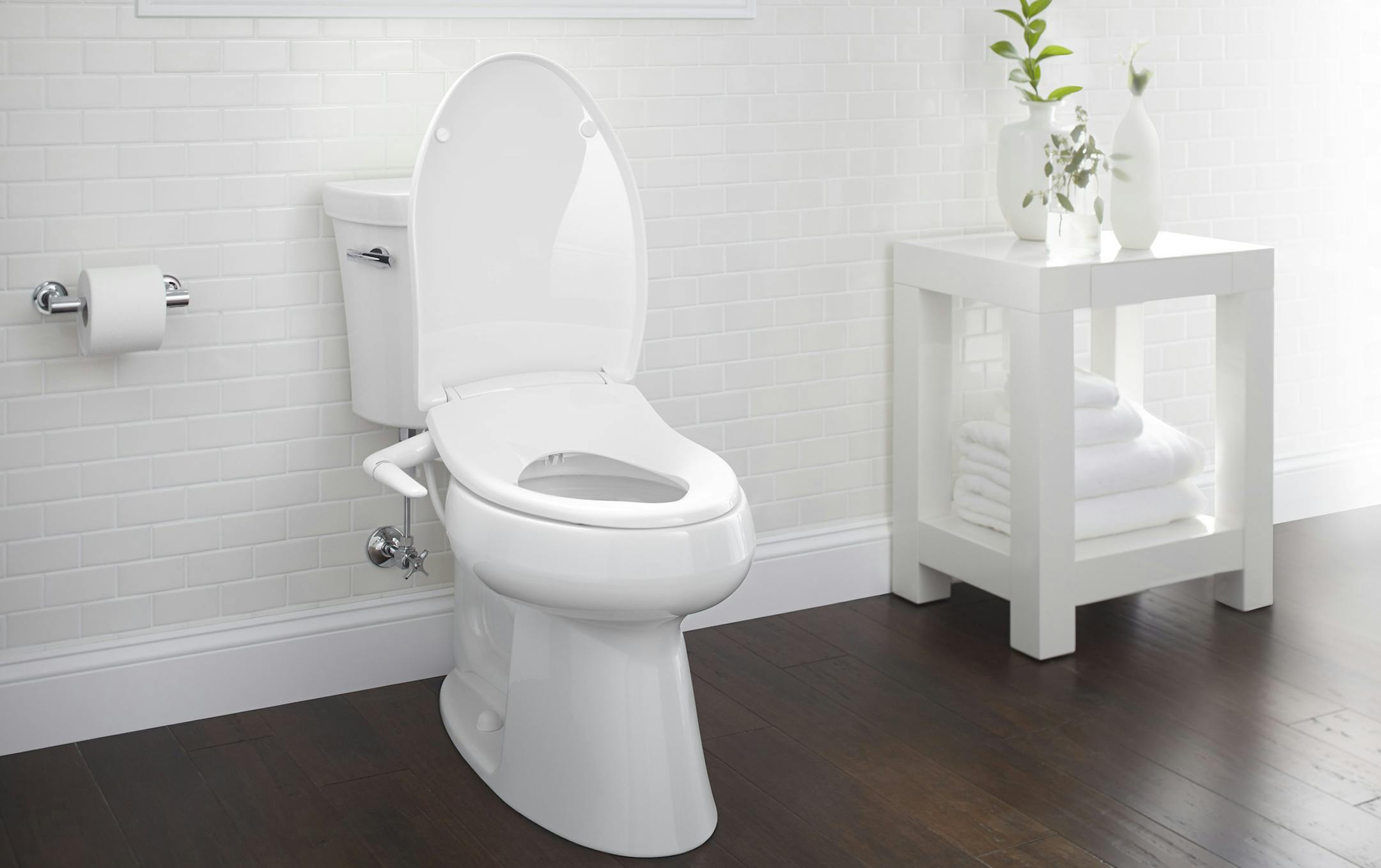 Simple manual control toilet seats provide basic washing. (Kohler)