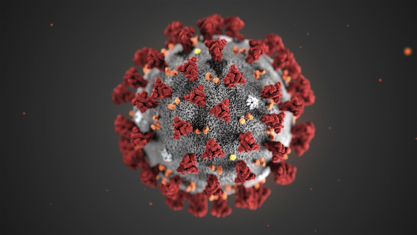 This illustration provided by the Centers for Disease Control and Prevention shows the 2019 Novel Coronavirus.