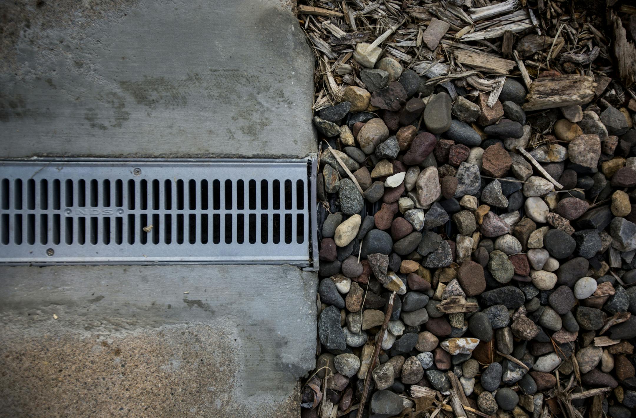 The water goes through the rain drain and then filters out into the garden. ] ALEX KORMANN • alex.kormann@startribune.com Harsha Amin-Thom is a Master Water Steward who created a rain garden in her yard and is helping to instruct her neighbors and community on how to better harness rain water to be re-purposed to grow beautiful gardens. It is environmentally responsible and cost efficient using a rain drain and a gradually sloping garden to catch the water.