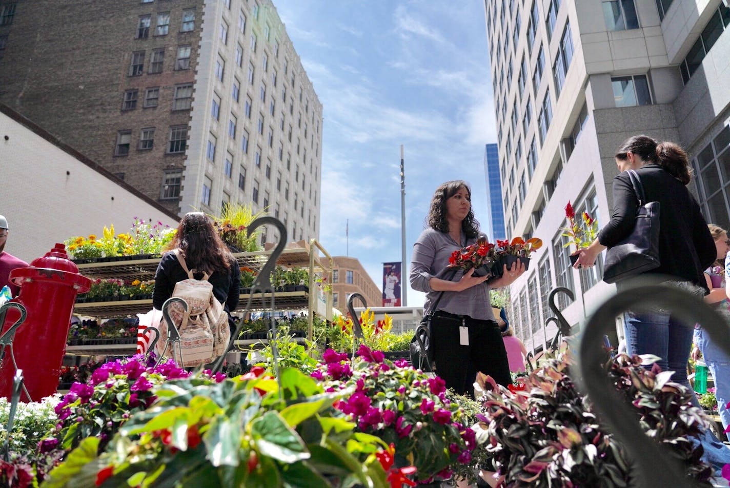 Maria Wait buys flowers from the Pflaum Farms stand on opening day of the Nicollet Mall farmers market in downtown Minneapolis.