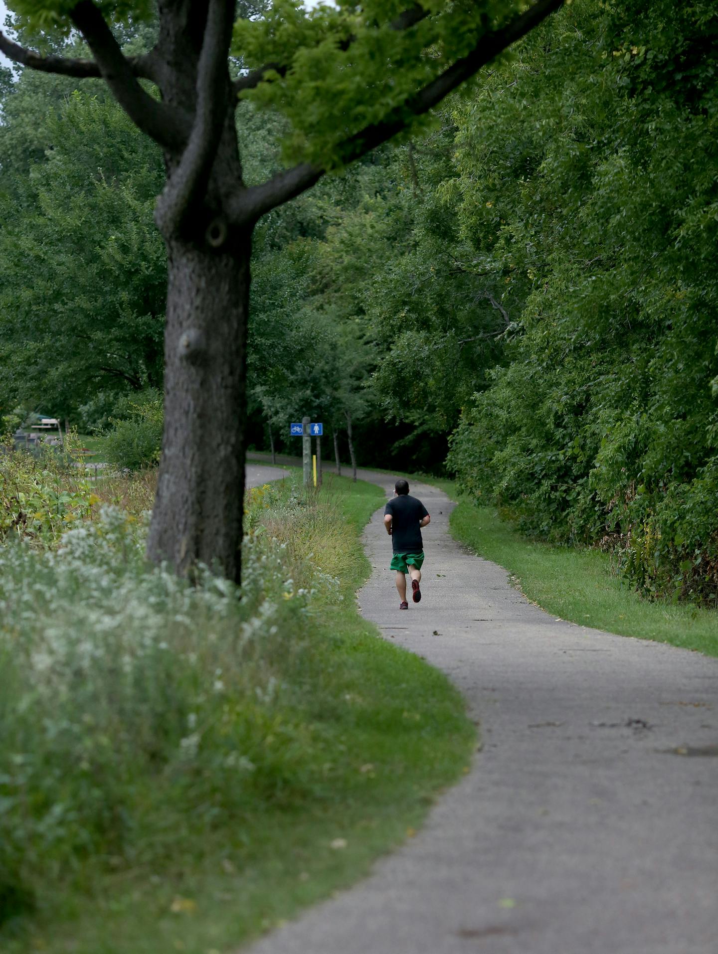 A runner on a path at North Mississippi Park. ] (KYNDELL HARKNESS/STAR TRIBUNE) kyndell.harkness@startribune.com in Minneapolis Min., Wednesday, September 10, 2014.