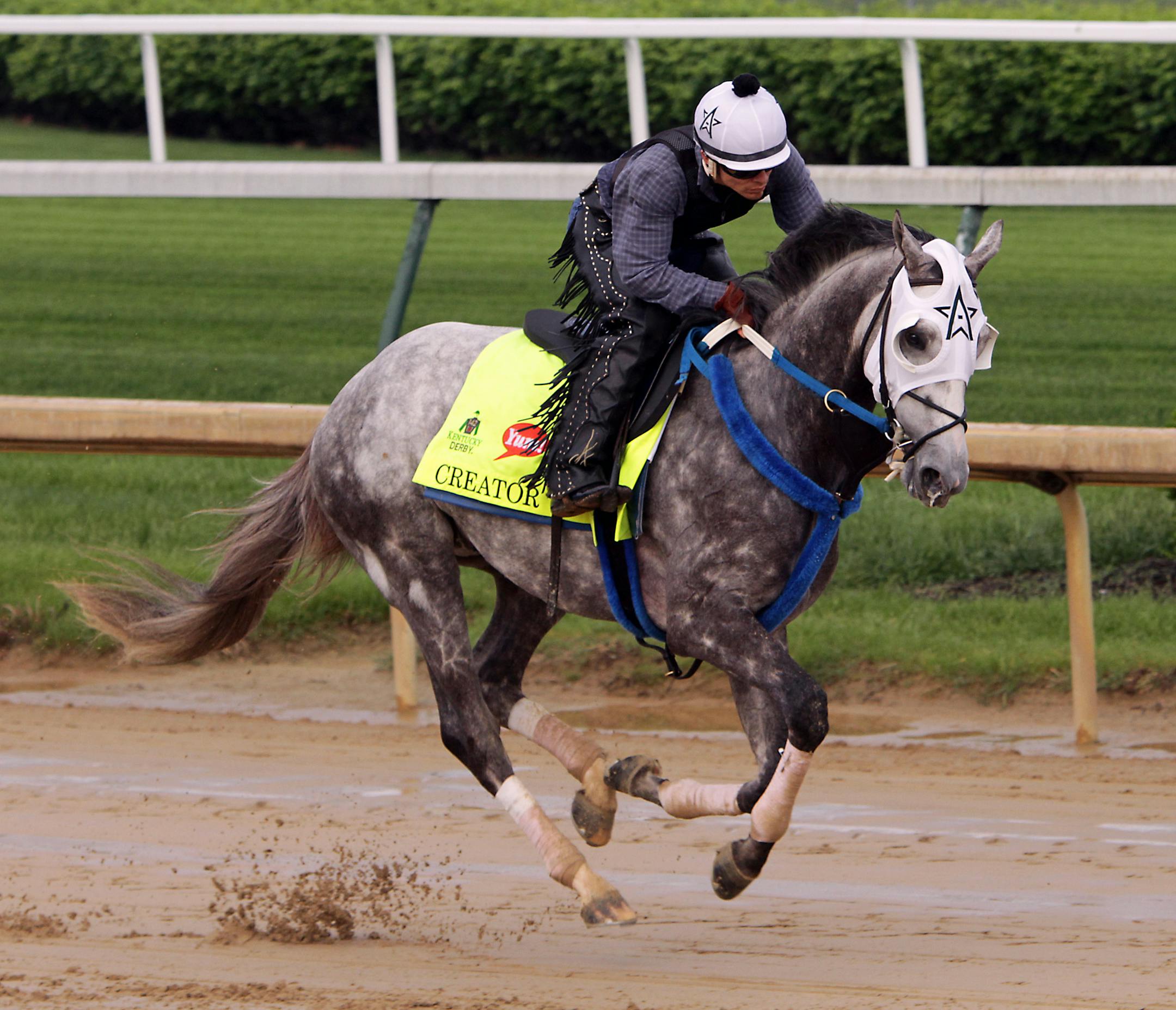 Kentucky Derby hopeful Creator gallops under exercise rider Carlos Rosas at Churchill Downs in Louisville, Ky., Sunday, May 1, 2016. (AP Photo/Garry Jones)
