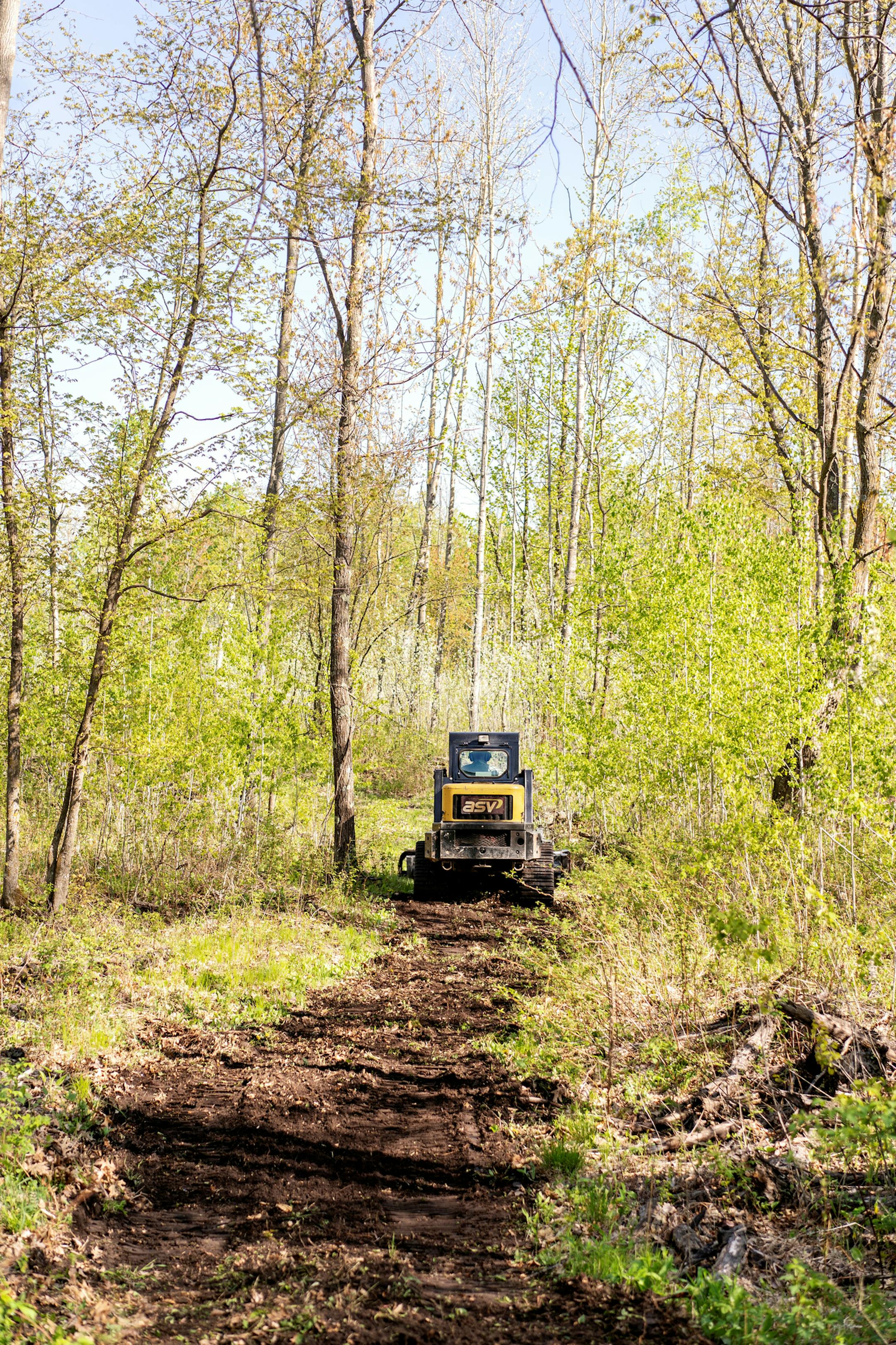 The writer used a skid steer with an attachment called a Harley rake to grind up and lay trail on his land several miles east of Brainerd.