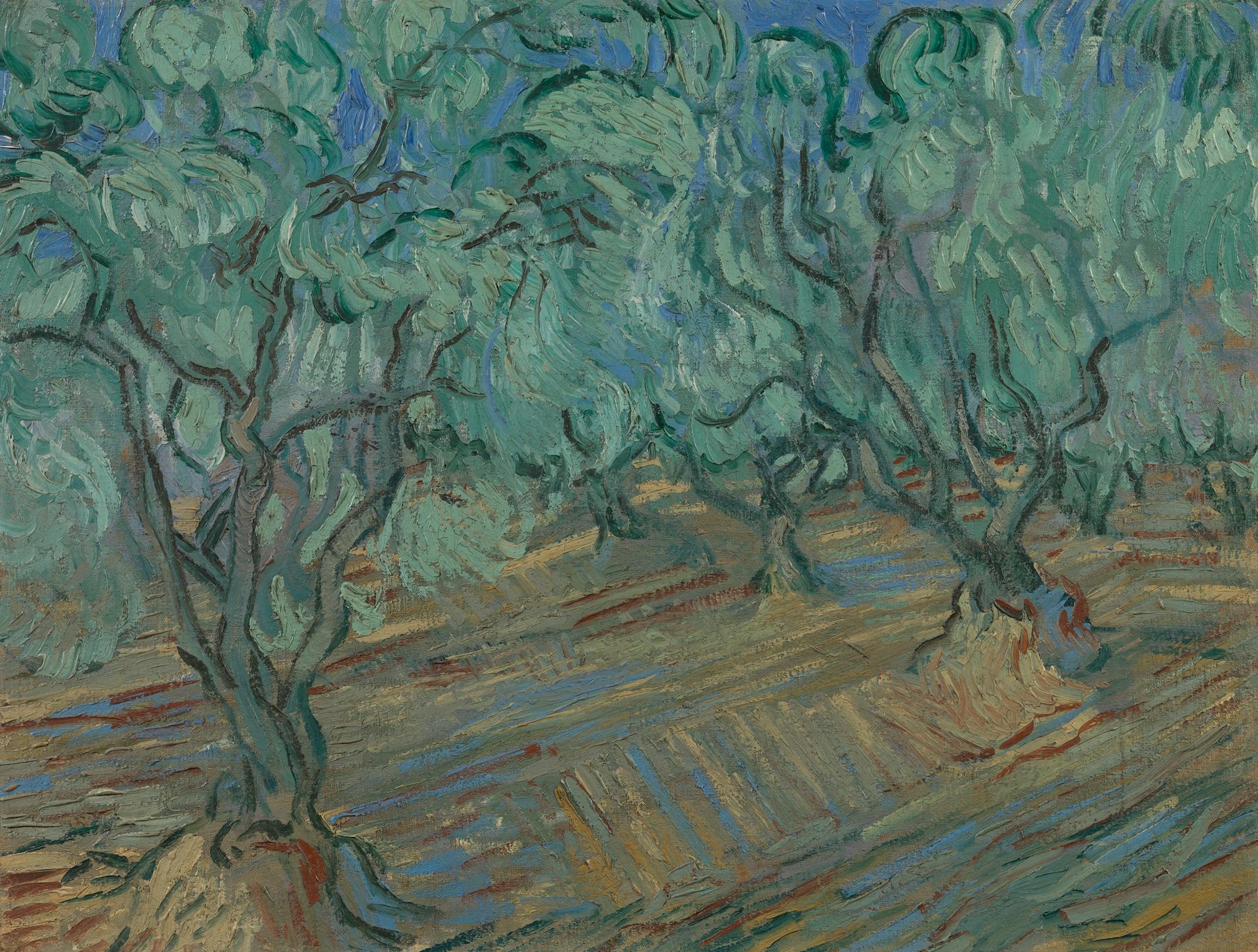 Vincent van Gogh. Olive Grove, June 1889. Oil on canvas. 45.5 cm x 59.1 cm. Van Gogh Museum, Amsterdam (Vincent van Gogh Stichting). s0044V1962.