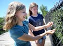 Friends Sidney Cater, left, and Emily Meyer, both 15, from Hastings, add a lock to the &#xec;Love locks&#xee; that adorn a chain link fence over the V