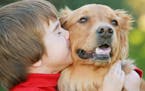 Make sure your dog enjoys the type of affection you're showing. (Dreamstime) ORG XMIT: 1201270
