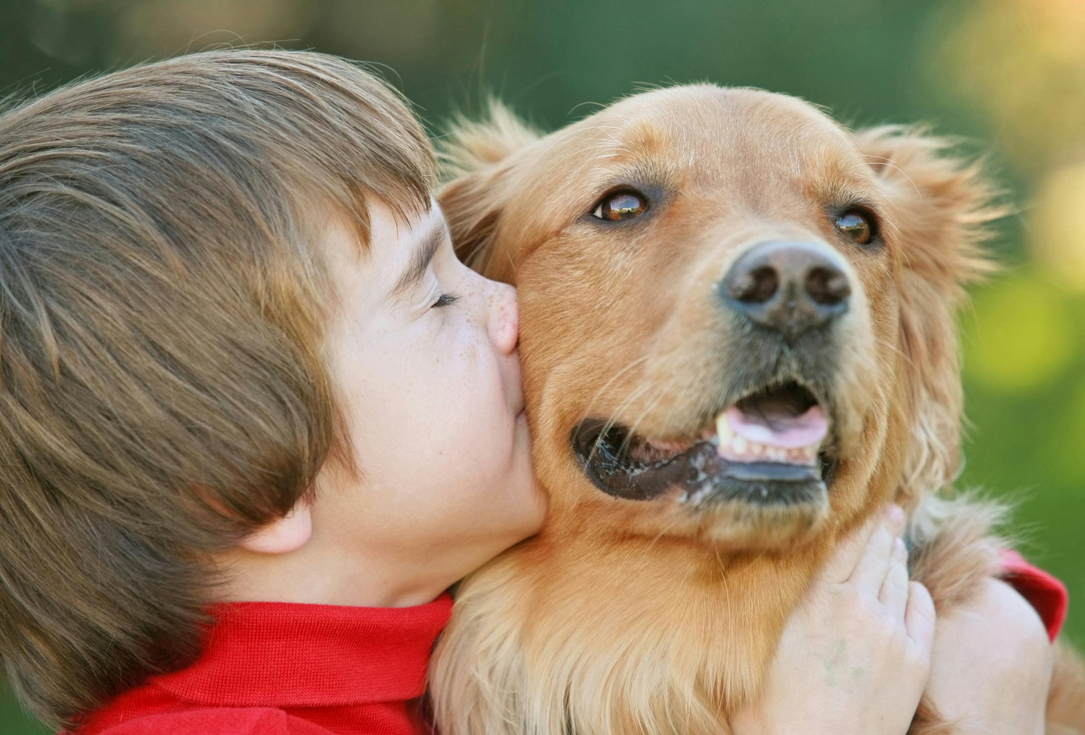 Make sure your dog enjoys the type of affection you're showing. (Dreamstime) ORG XMIT: 1201270