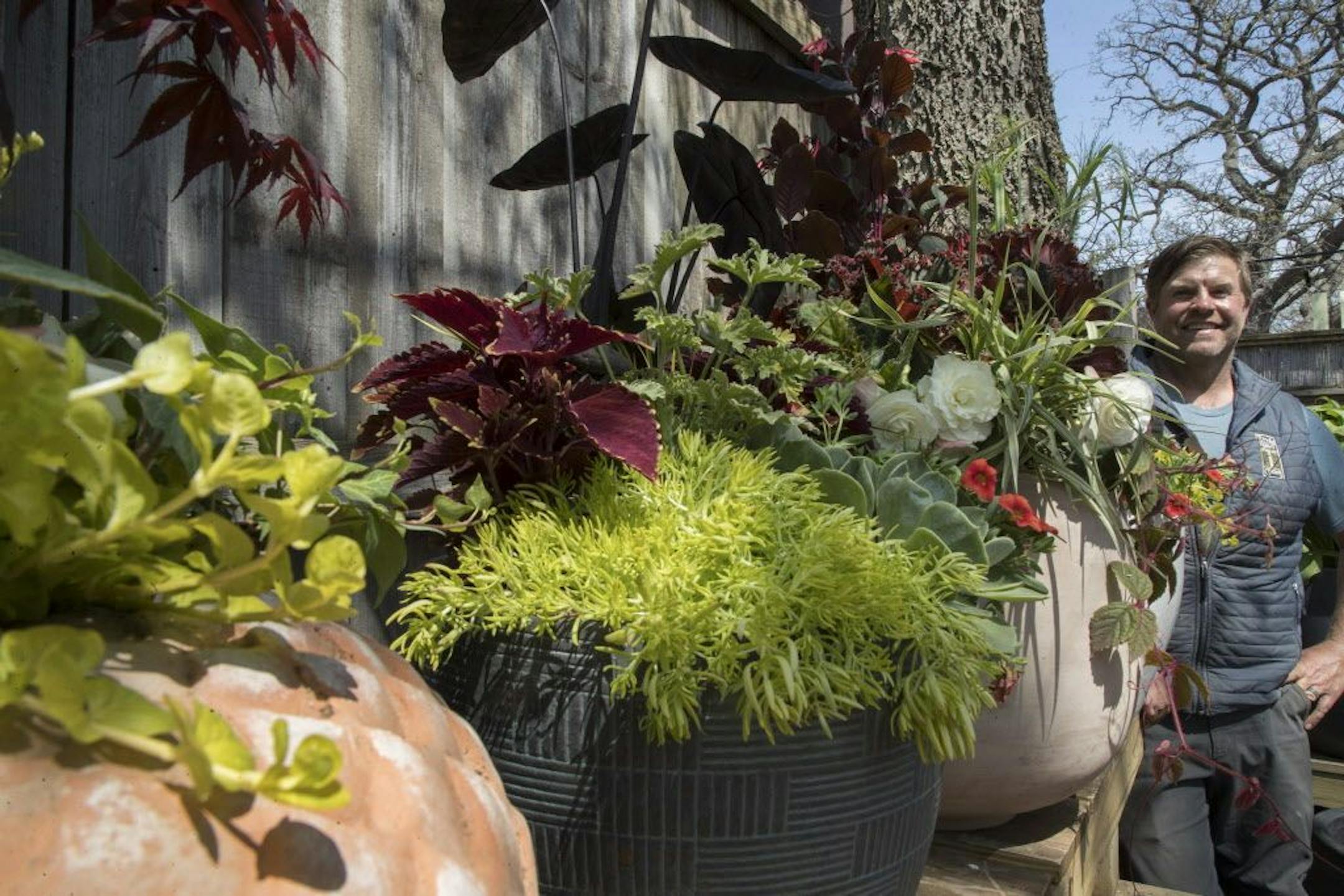 Summer deck and patio pots designed by Dean Engelmann of Tangletown Gardens.